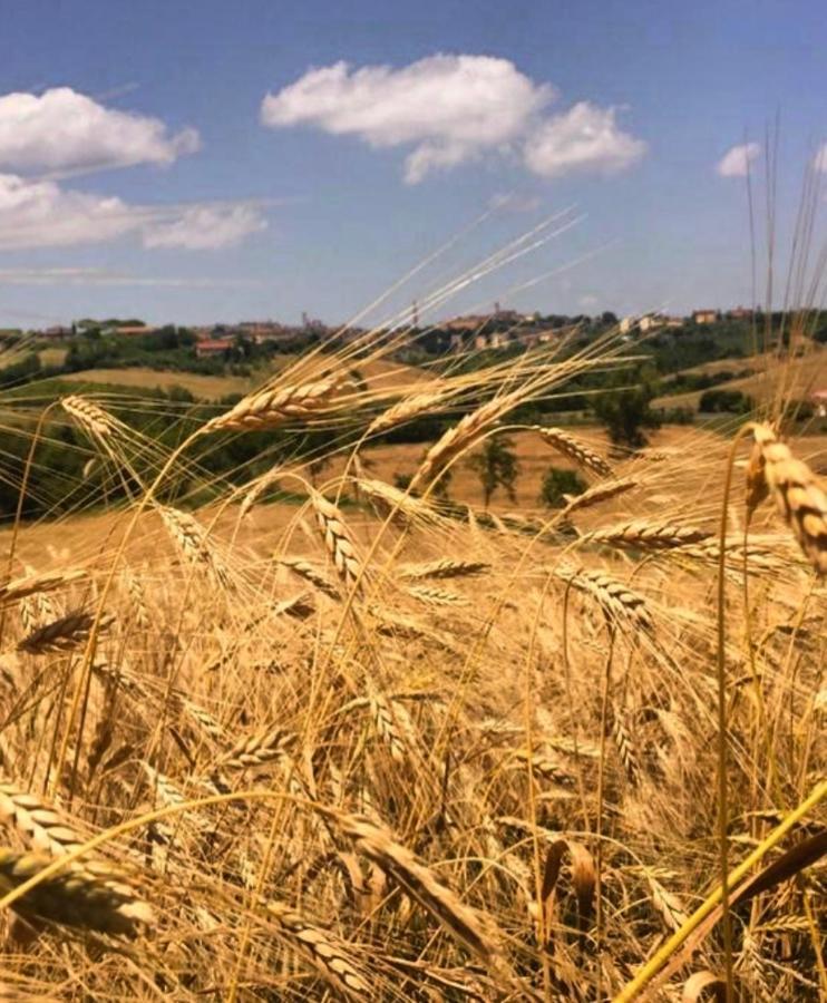 Agriturismo La Corte Del Sole Siena Dış mekan fotoğraf