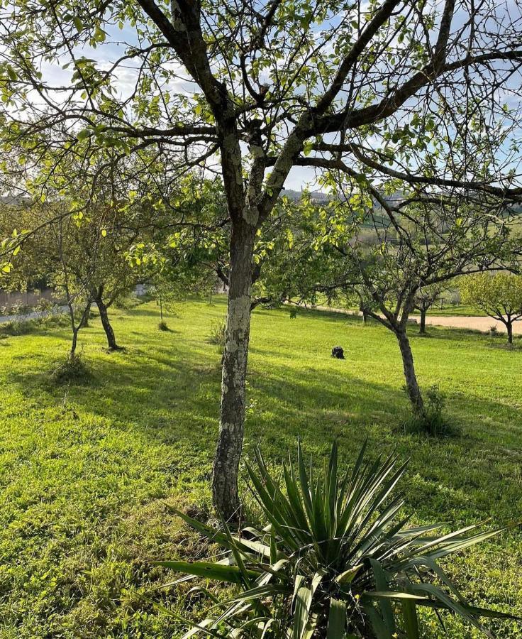 Agriturismo La Corte Del Sole Siena Dış mekan fotoğraf