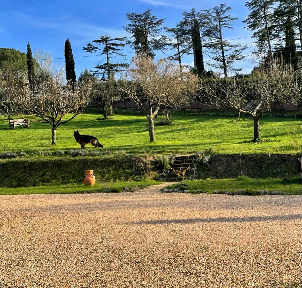 Agriturismo La Corte Del Sole Siena Dış mekan fotoğraf