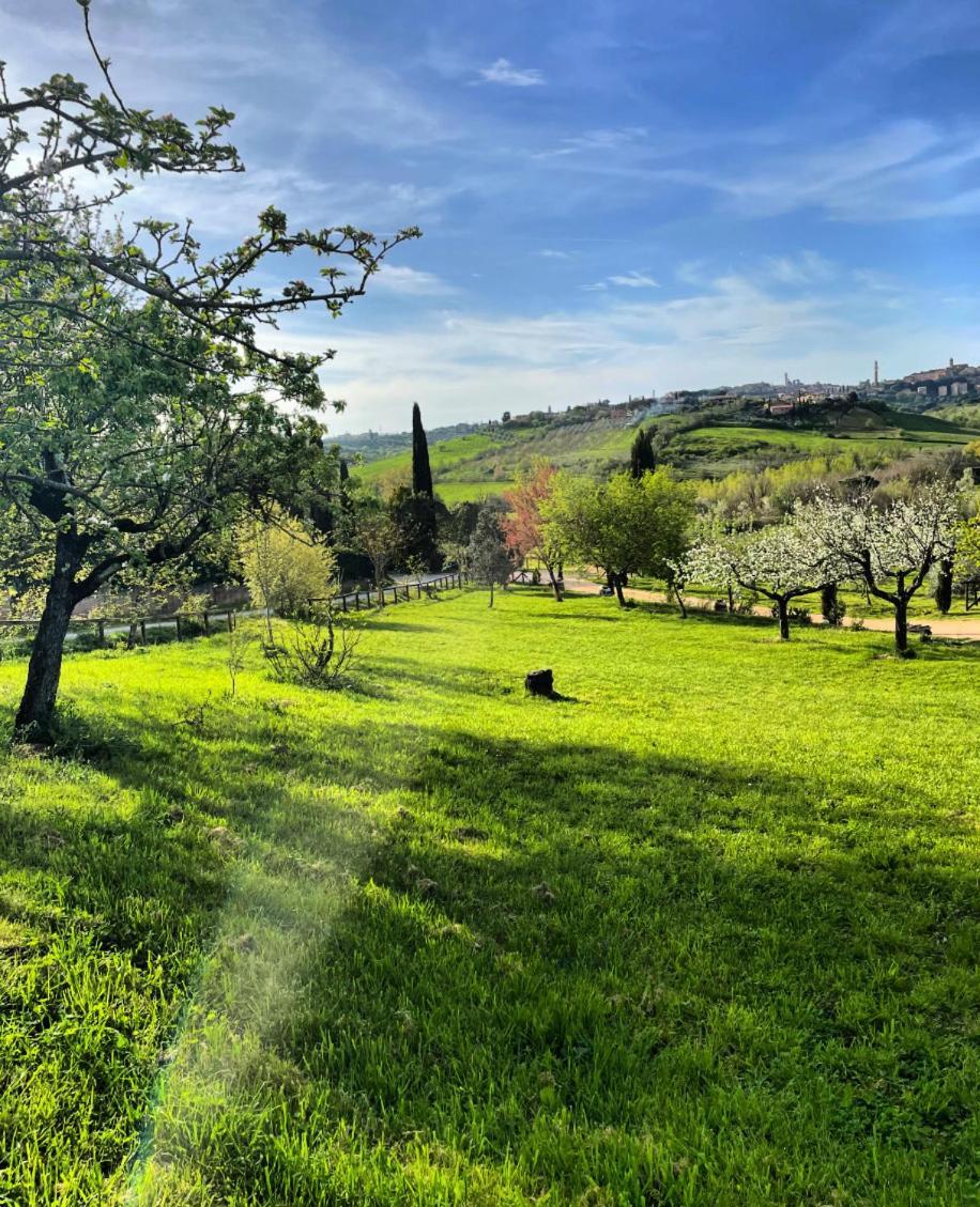 Agriturismo La Corte Del Sole Siena Dış mekan fotoğraf