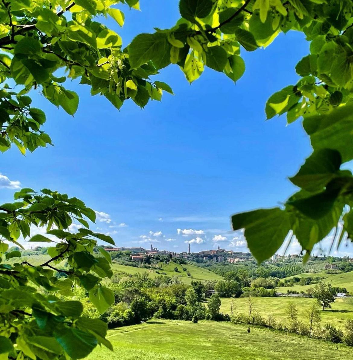Agriturismo La Corte Del Sole Siena Dış mekan fotoğraf