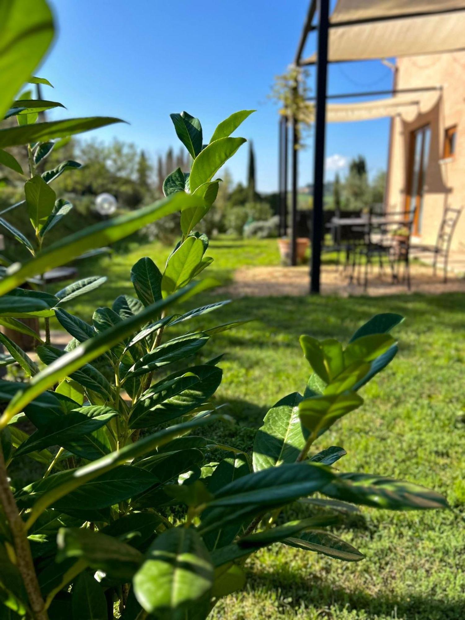 Agriturismo La Corte Del Sole Siena Dış mekan fotoğraf
