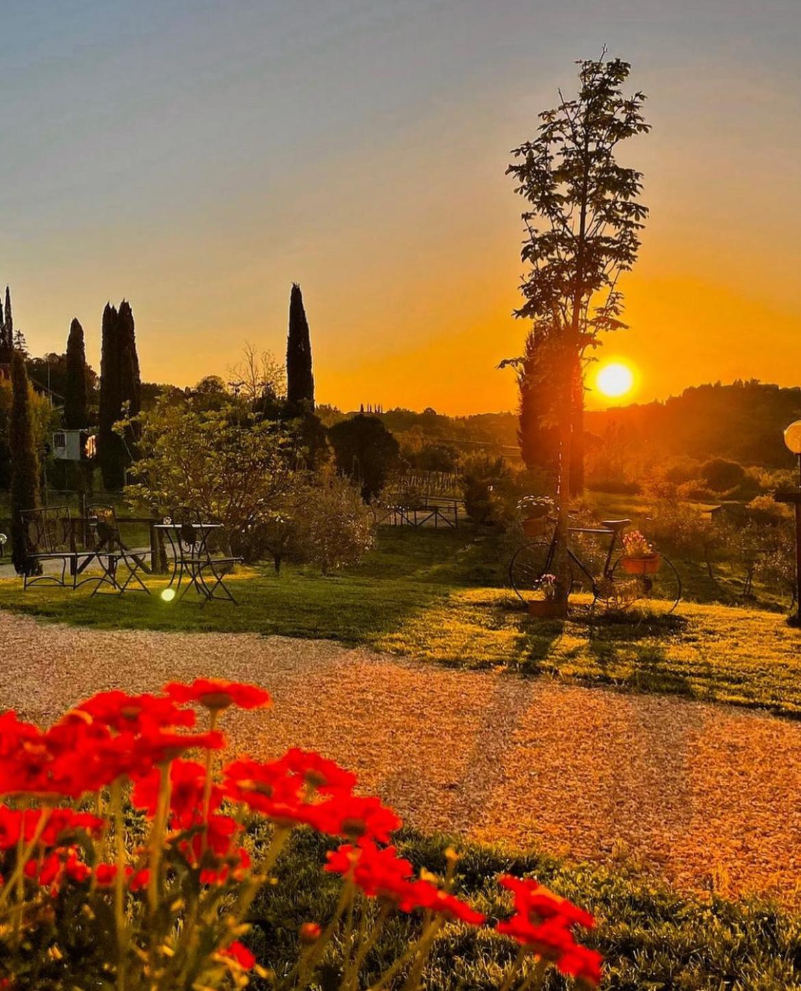 Agriturismo La Corte Del Sole Siena Dış mekan fotoğraf