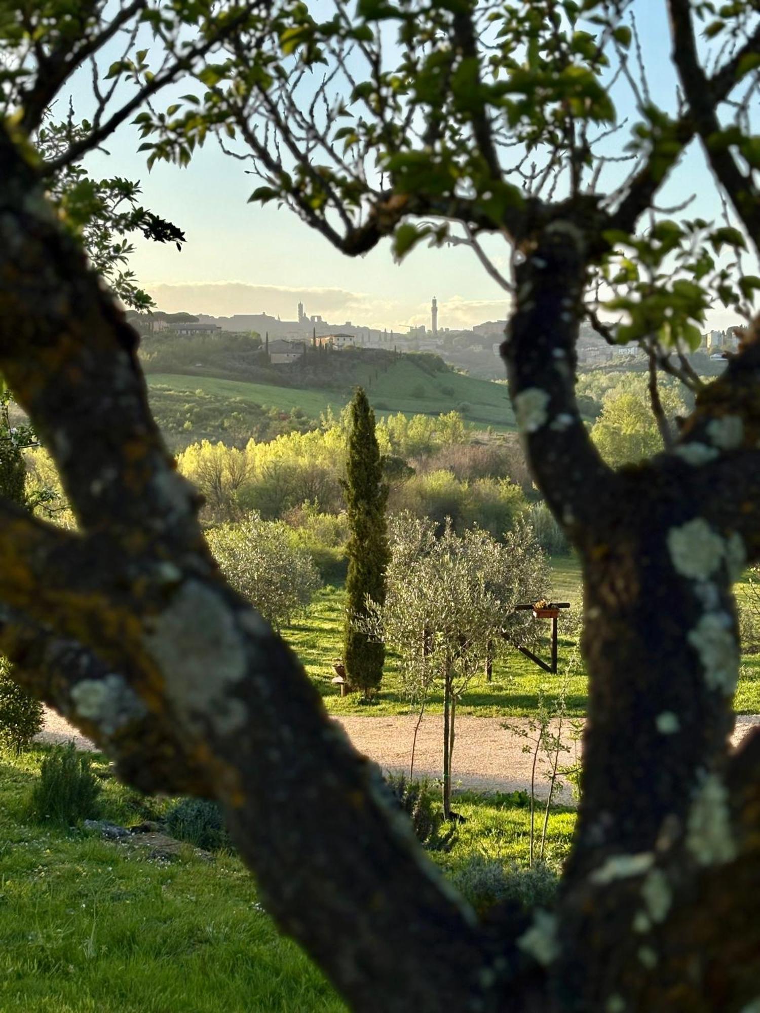 Agriturismo La Corte Del Sole Siena Dış mekan fotoğraf