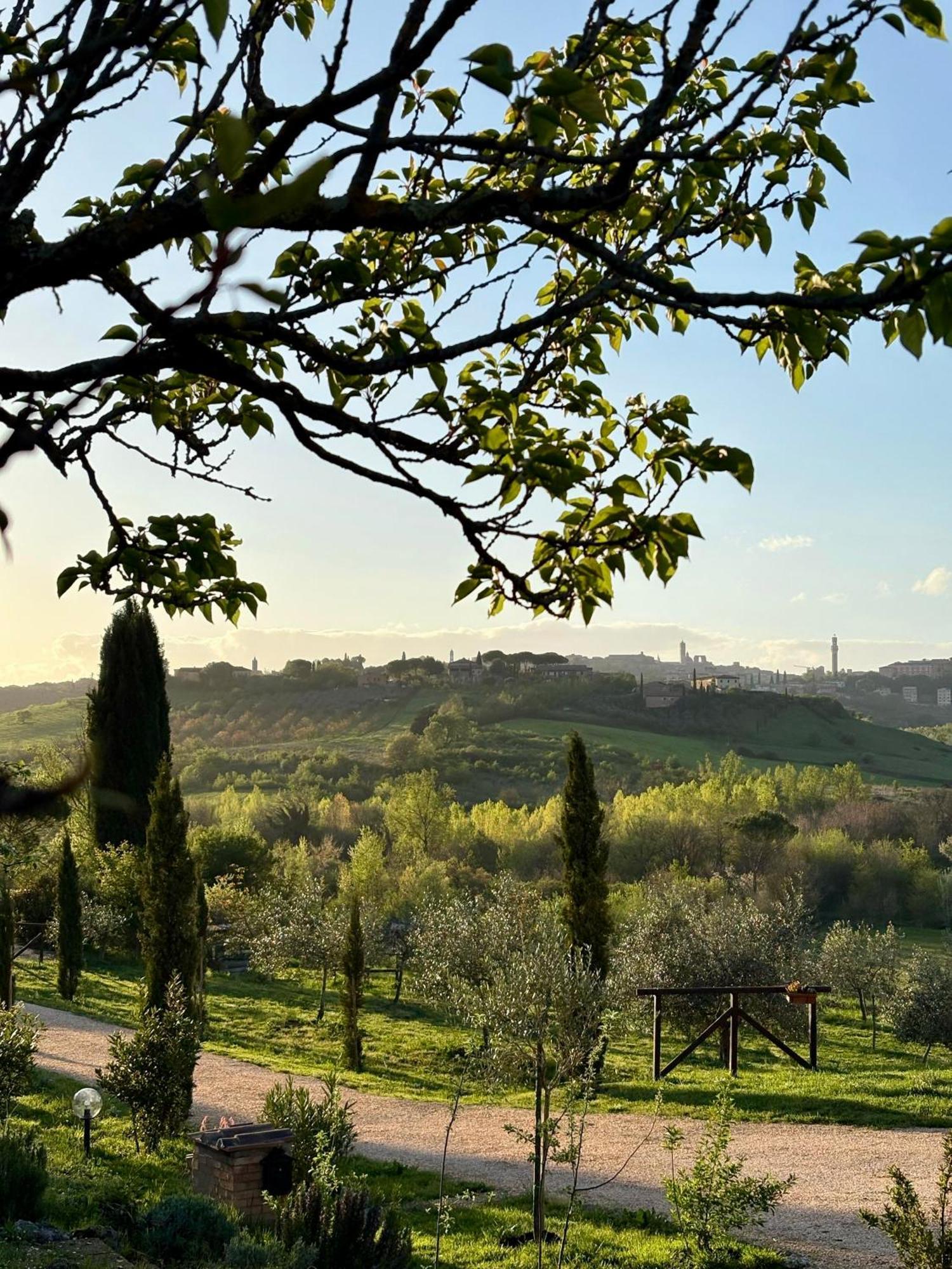 Agriturismo La Corte Del Sole Siena Dış mekan fotoğraf